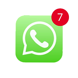 WhatsApp Business API