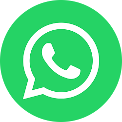 WhatsApp Business API AiBrains